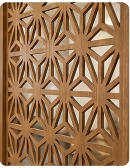 البارتيشن (Partition Systems)